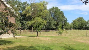Casa | Jardín