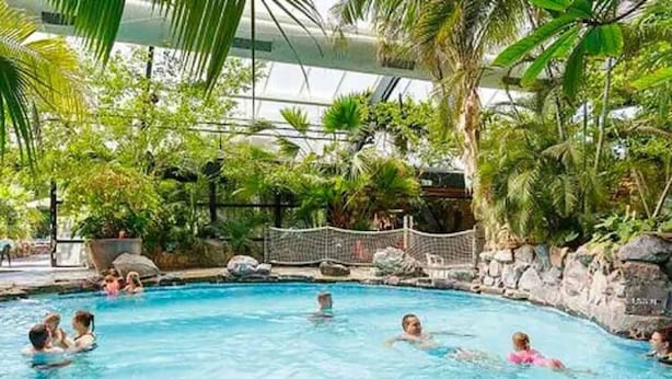 Une piscine intérieure entourée d’une végétation luxuriante et dotée d’un toit en verre.