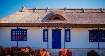 Traditional house with one bedroom apartment/ fireplace and porch.