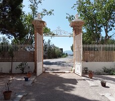 A gated entrance with a decorative gate, a paved path, and potted plants.