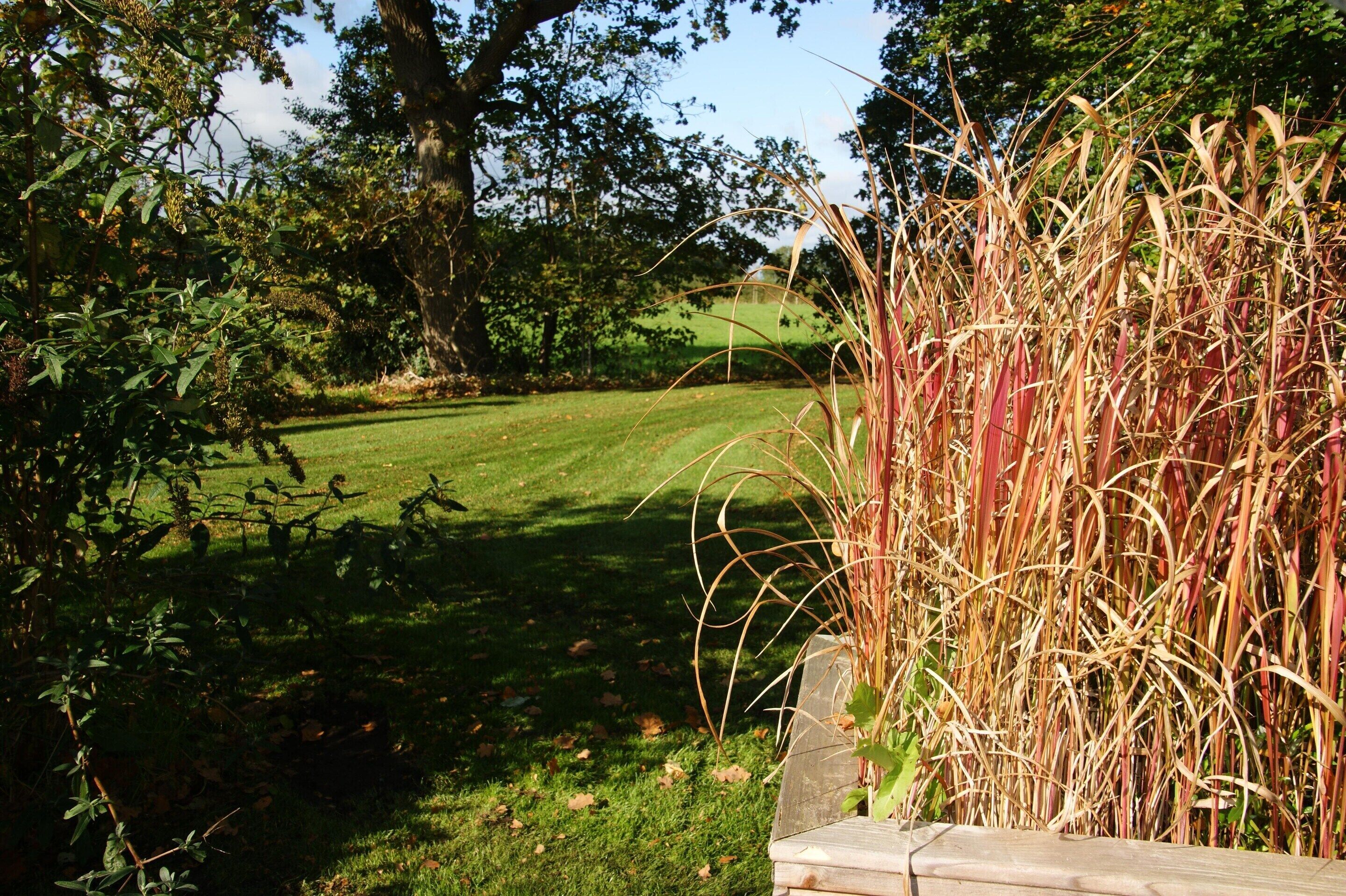 Hus | Utsikt fra overnattingsstedet