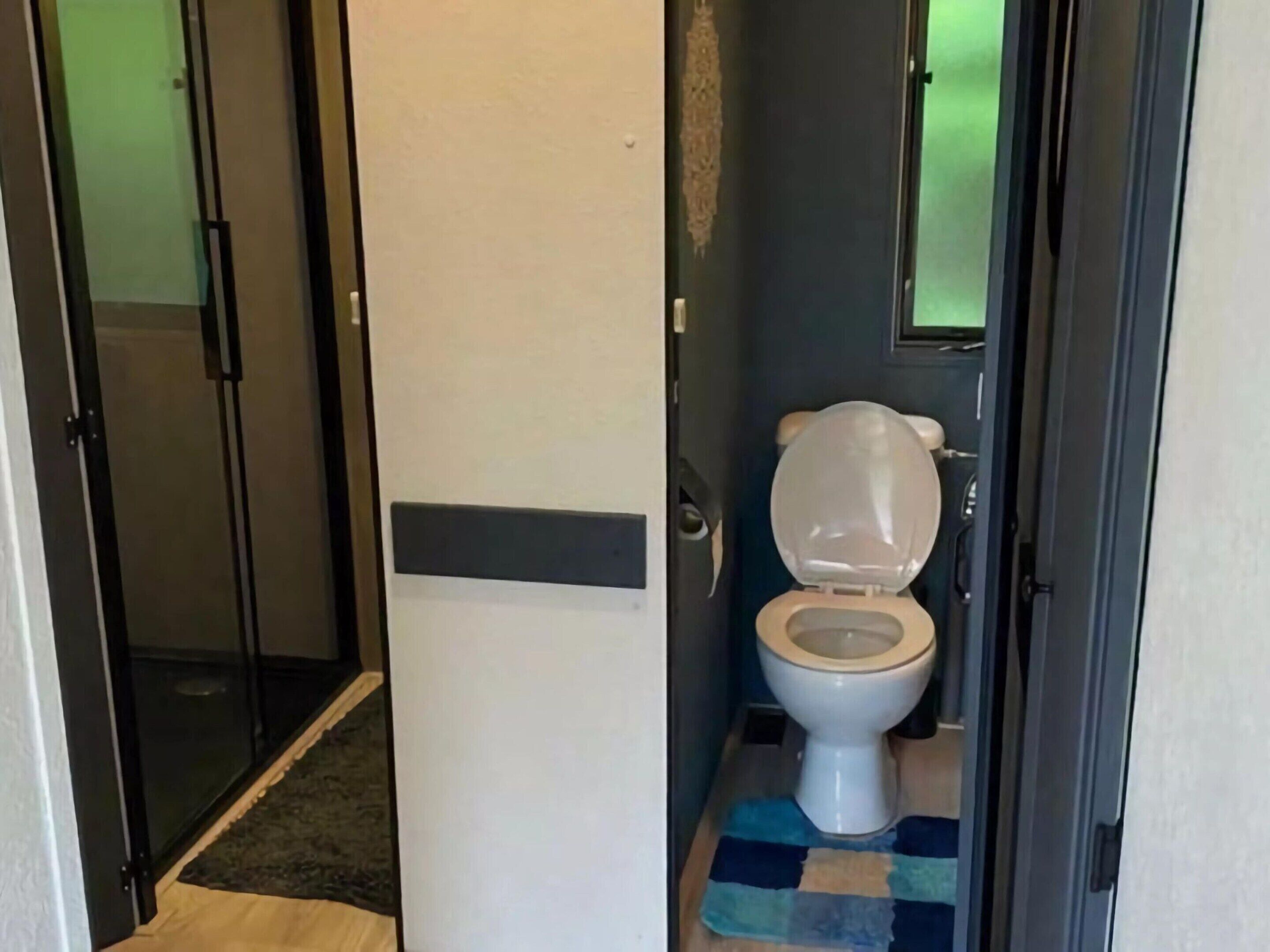 A bathroom with a toilet, a shower door, and a rug.
