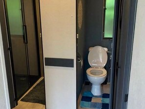 A bathroom with a toilet, a shower door, and a rug. - Lovely Chalet in De Pol With Garden (De Pol)