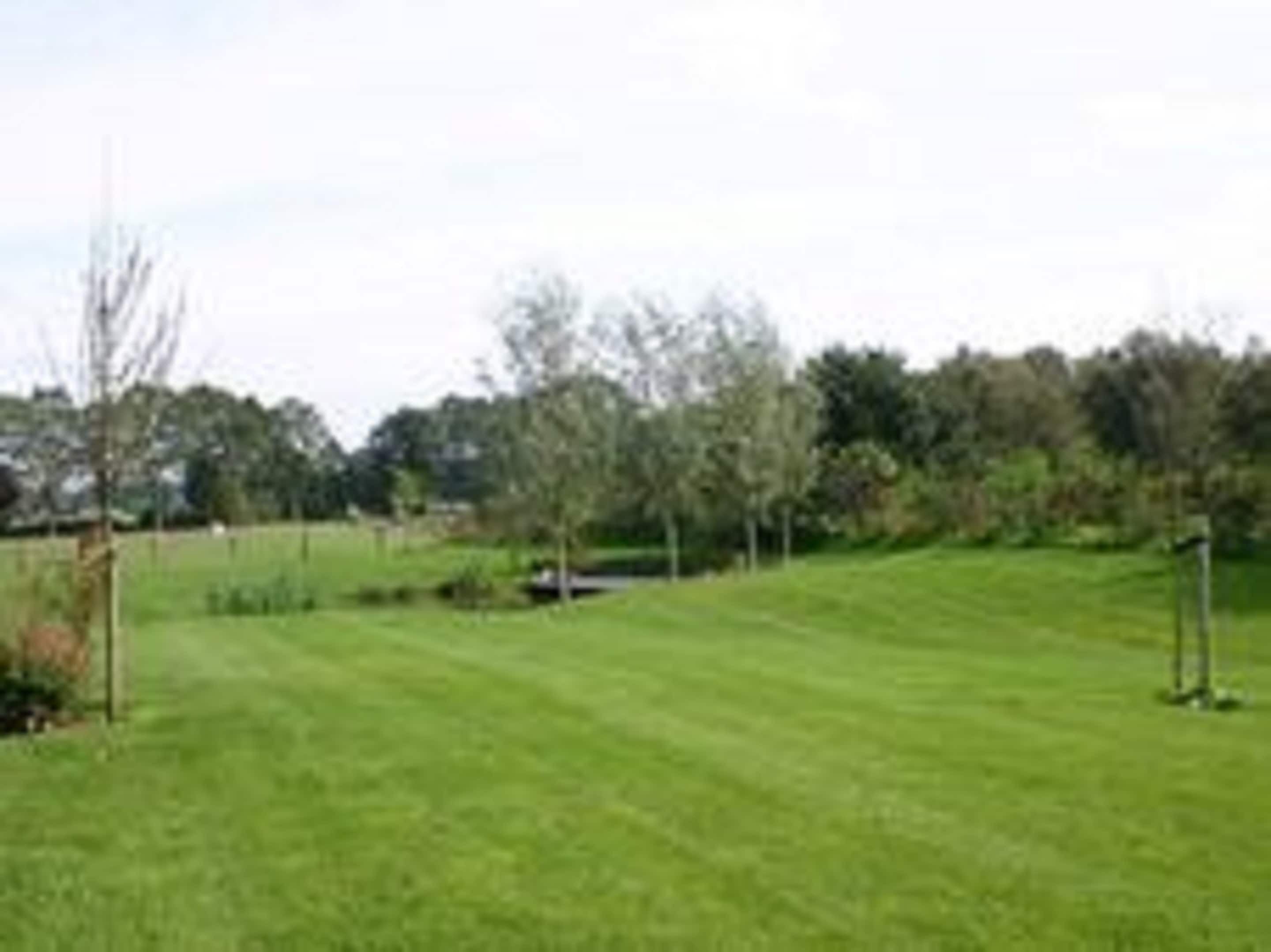Un campo cubierto de hierba, con árboles y una valla.