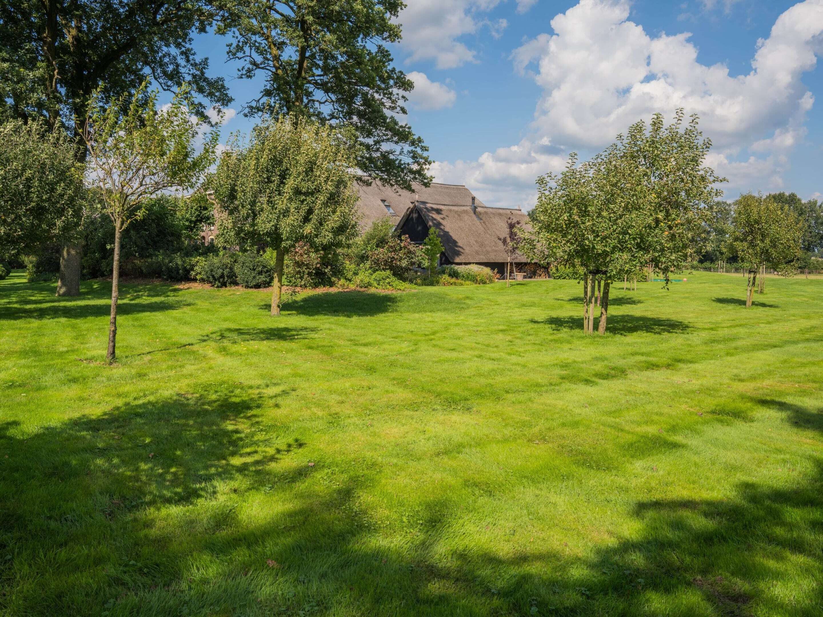 A grassy field with trees and a building with a thatched roof.