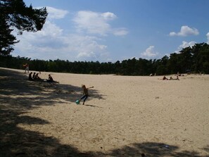 House | Pemandangan dari hartanah
