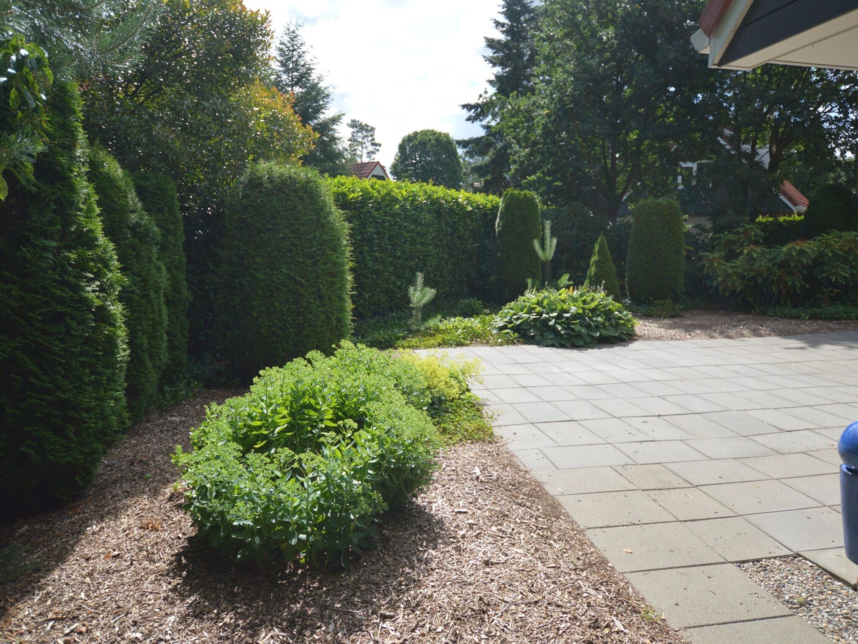 A landscaped garden with neatly trimmed hedges, a paved walkway, and a variety of shrubs.