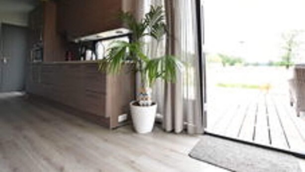 A modern kitchen with a large window, a potted plant, and a wooden floor. - Peaceful Chalet Close to Norg (Haulerwijk)