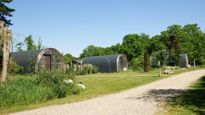 A rural property with multiple barns, a gravel path, and lush greenery. - Unique Nature Lodge With Terrace Garden (Dalerveen)