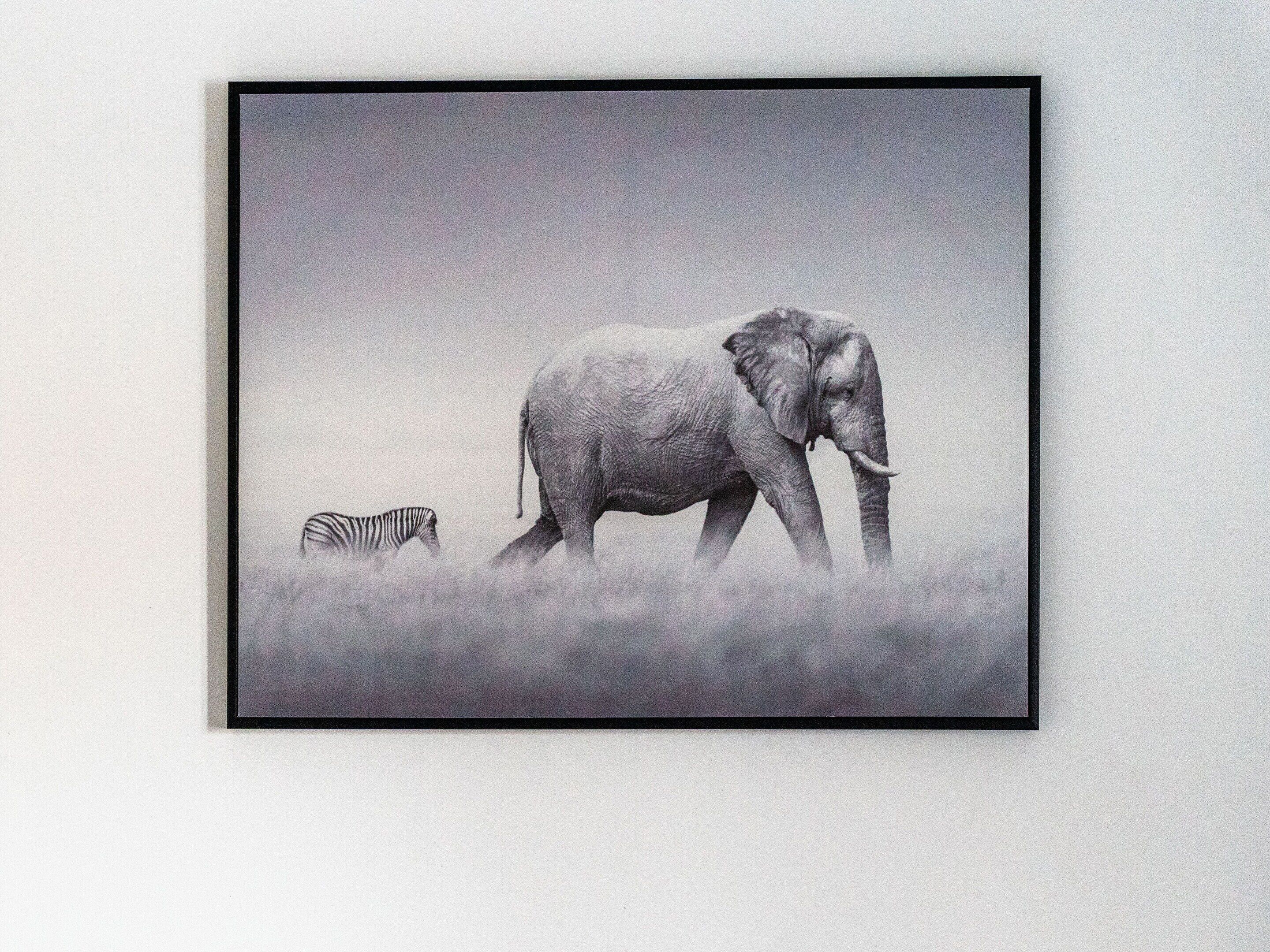 A framed photograph of an elephant and a zebra in a natural setting.