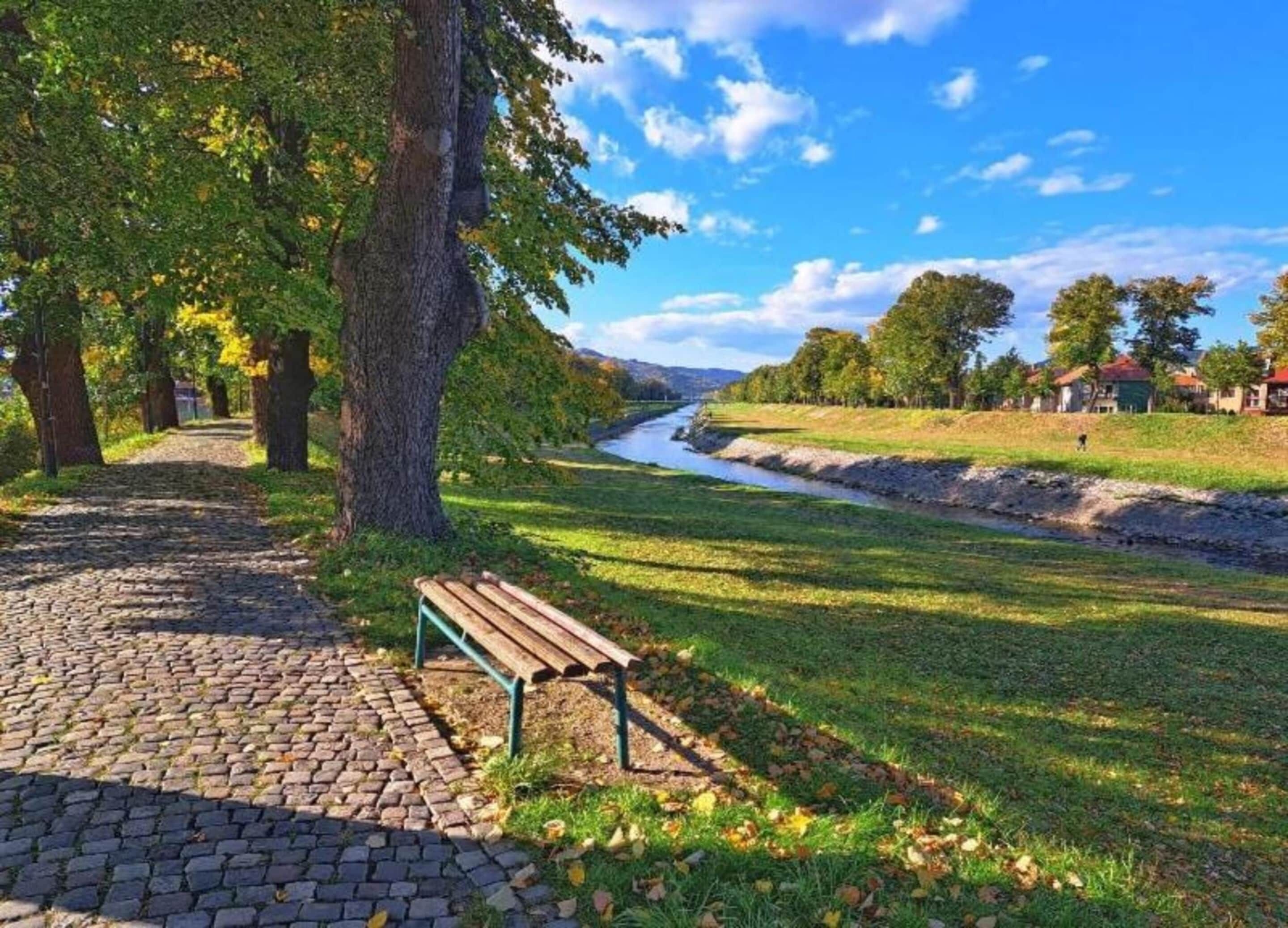 A cobblestone path leading to a bench by a river, with trees and houses in the background.