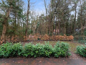 House | View from property - Forest House in Norg With Private Sauna (Norg)