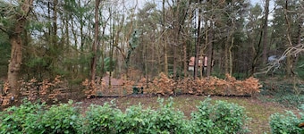 Forest House in Norg With Private Sauna