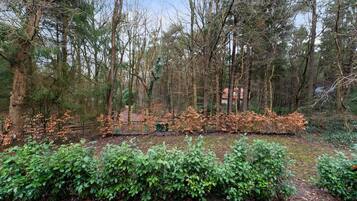 Rumah | Pemandangan dari properti