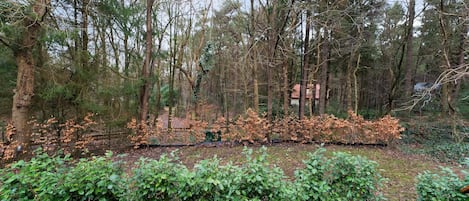 Huis | Uitzicht vanuit accommodatie