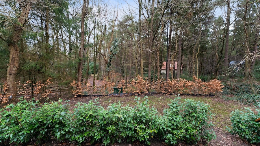 诺尔格的森林房子带私人桑拿