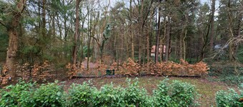 Forest House in Norg With Private Sauna