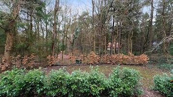 House | View from property