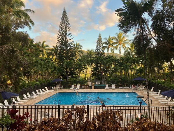 Outdoor pool, a heated pool