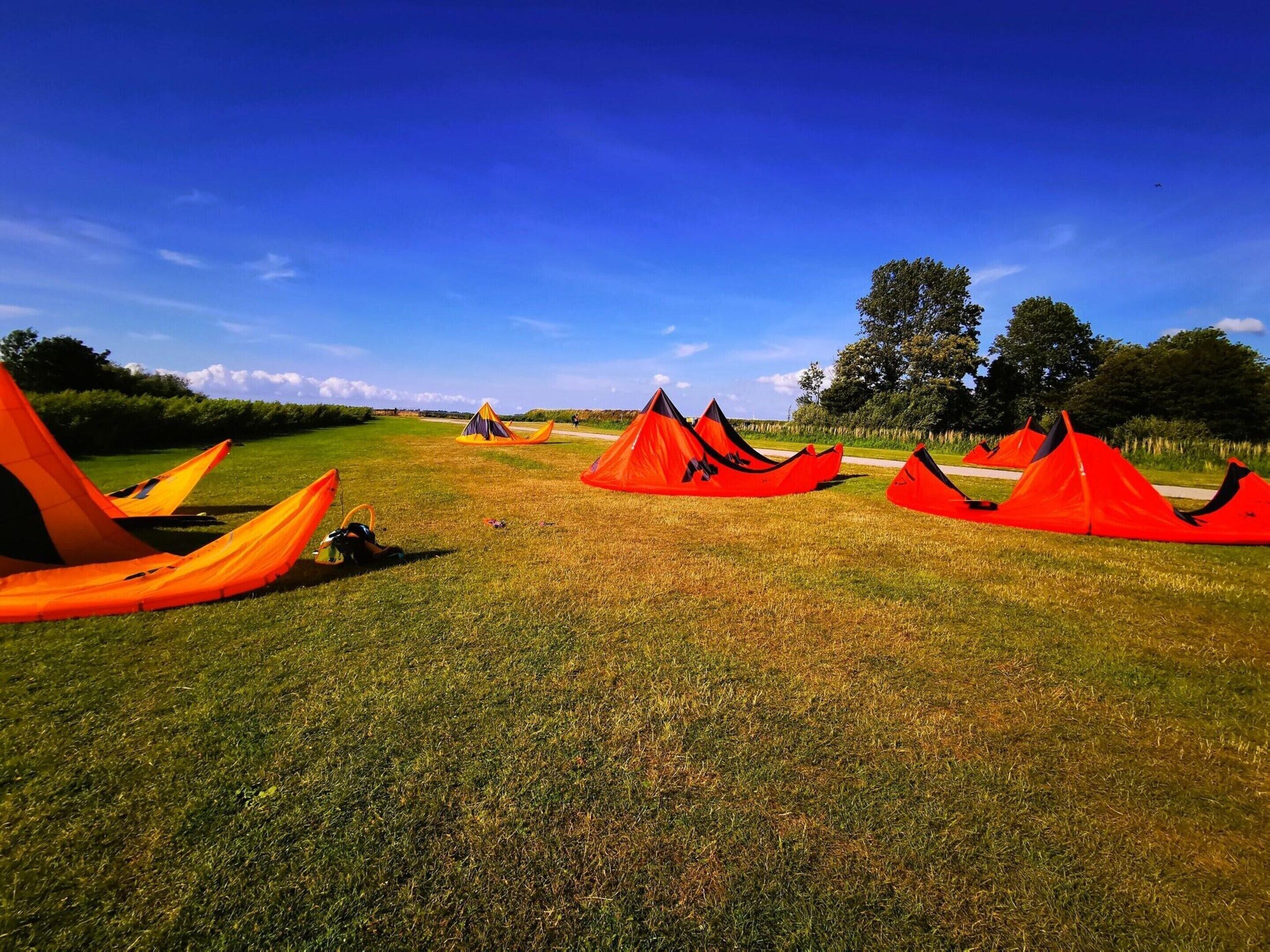 A grassy field with several orange tents arranged in rows.