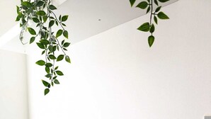 Eine Küchenarbeitsplatte mit einem Wasserkocher, drei Glasbehältern mit unterschiedlichem Inhalt und einer Steckdose an der Wand.
