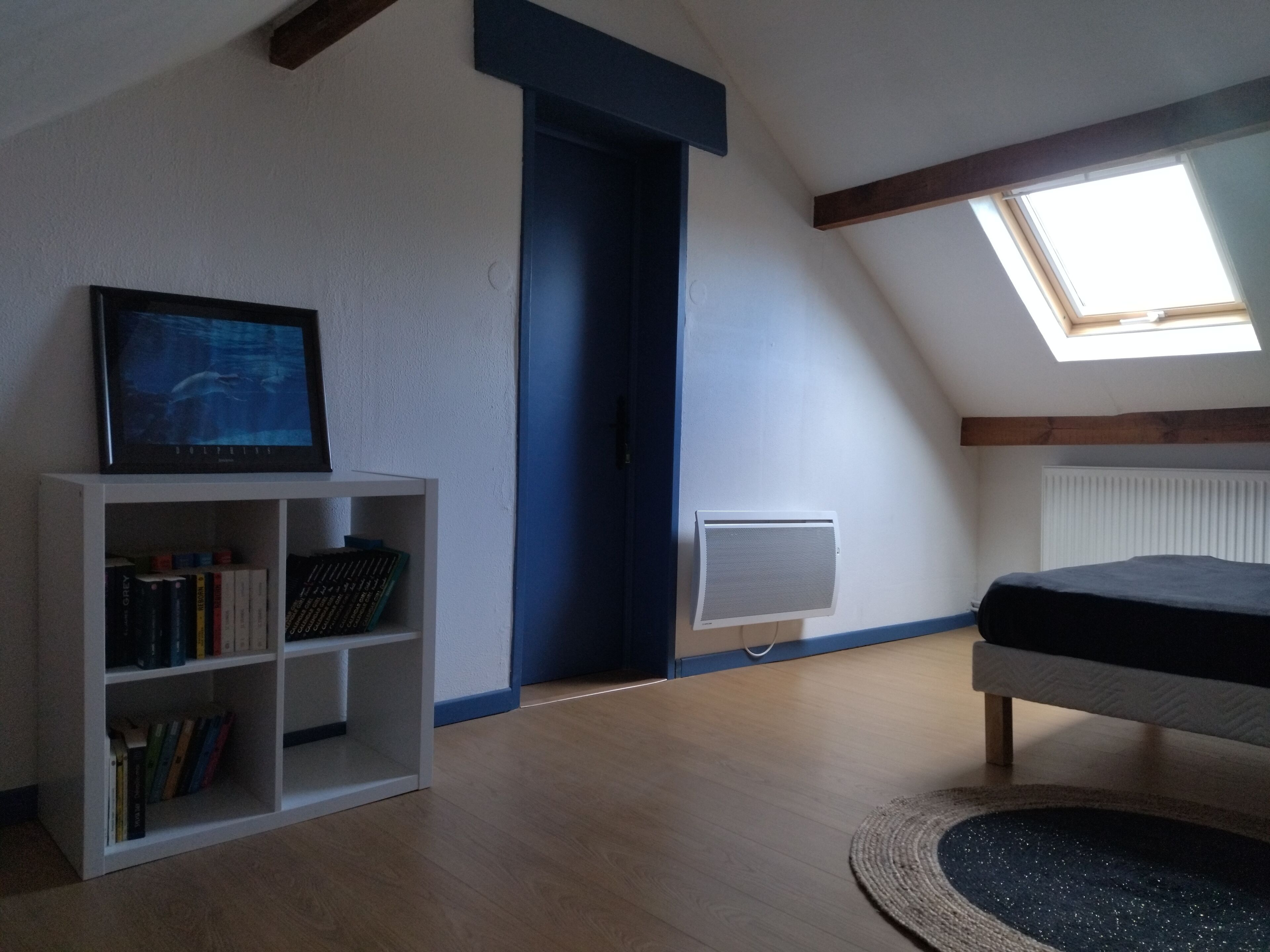 Une pièce avec un plafond en pente, un puits de lumière, une bibliothèque, un radiateur et un lit.