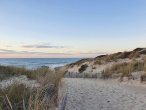 Beach nearby - Les Alcyons Studio Cabine by Interhome (Le Verdon sur Mer)