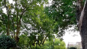 Um parque com caminhos pavimentados, bancos e árvores.