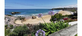 Biarritz St Charles. Quiet garden, Walking distance to beaches and golf course