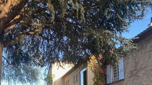 Una escalera de piedra que conduce a un edificio con contraventanas azules, rodeado de vegetación y un cielo despejado.