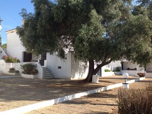 Un bâtiment blanc avec un escalier menant à une porte, entouré d’arbres et d’un petit jardin.