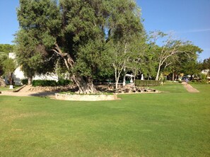 Property grounds