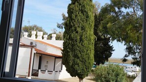 A tall, narrow tree in front of a white building with a red roof.