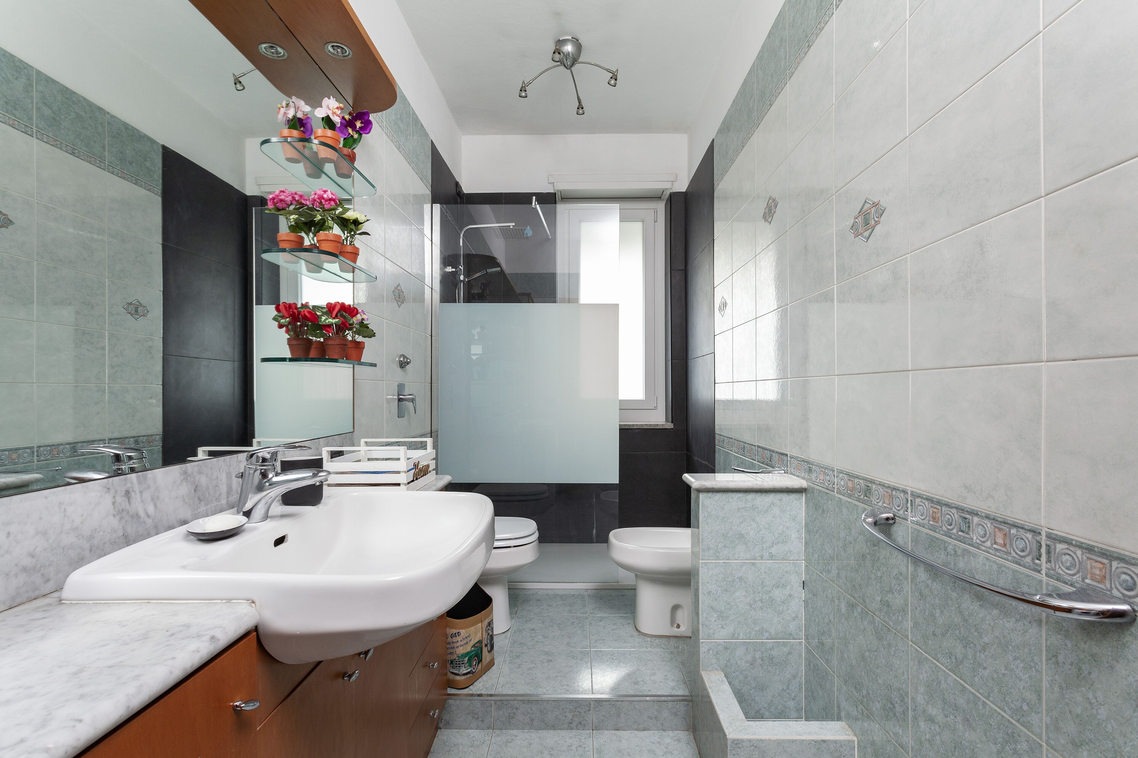 Hair dryer, bidet, towels, soap