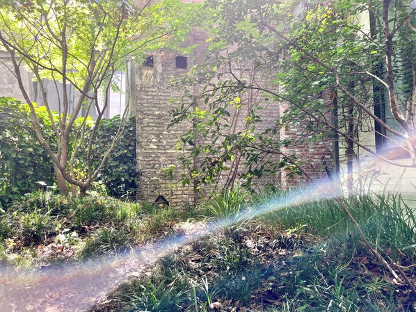 Studio, 1 King Bed (R2) | Terrace/patio