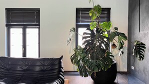 Una sala moderna con un sofá de cuero negro, una planta grande en maceta y dos ventanas con persianas.