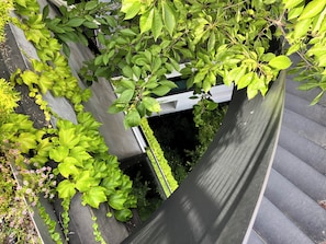 屋顶露台