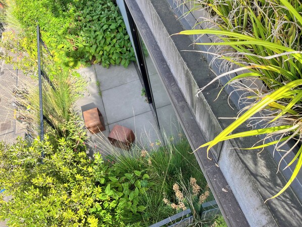 A garden area with various plants and a pathway. - Teddy Picker (Brussels)