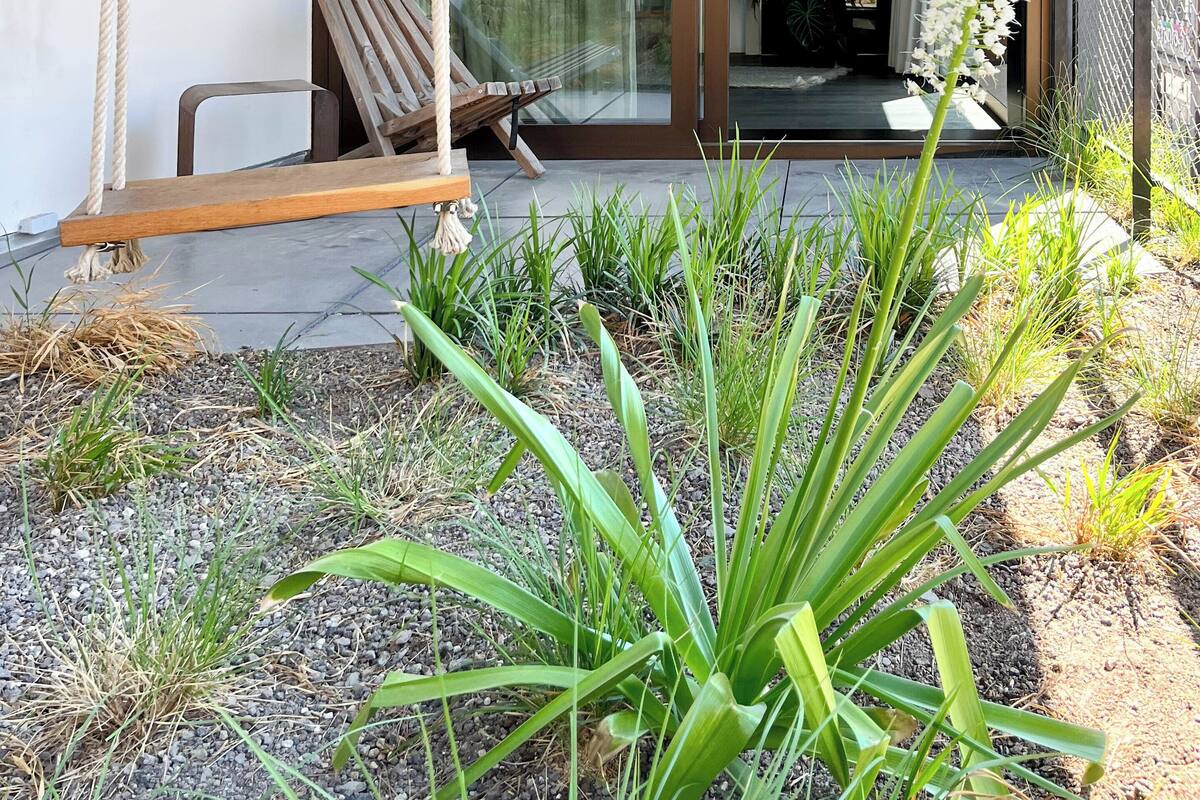 Studio, 1 King-Bett (R3) | Terrasse/Patio