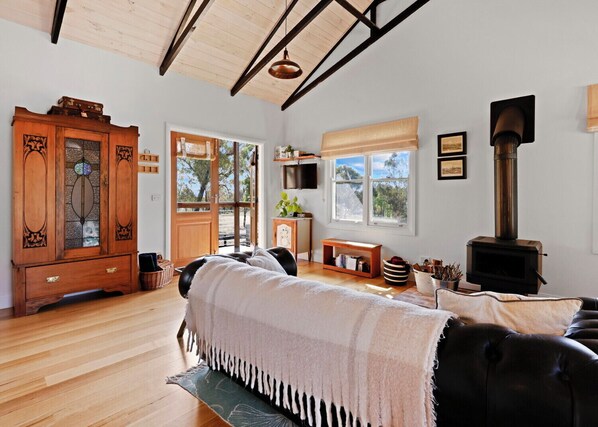 TV, fireplace, books, stereo