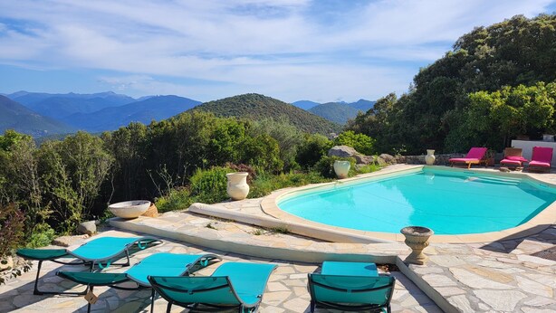 Una piscina con cubierta de piedra, rodeada de sillas de descanso verdes y plantas en macetas.