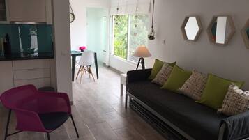 Smart TV, DVD player