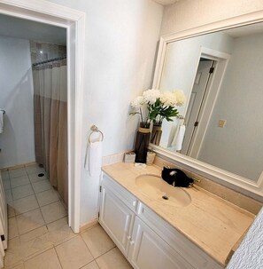 Shower, hair dryer, towels
