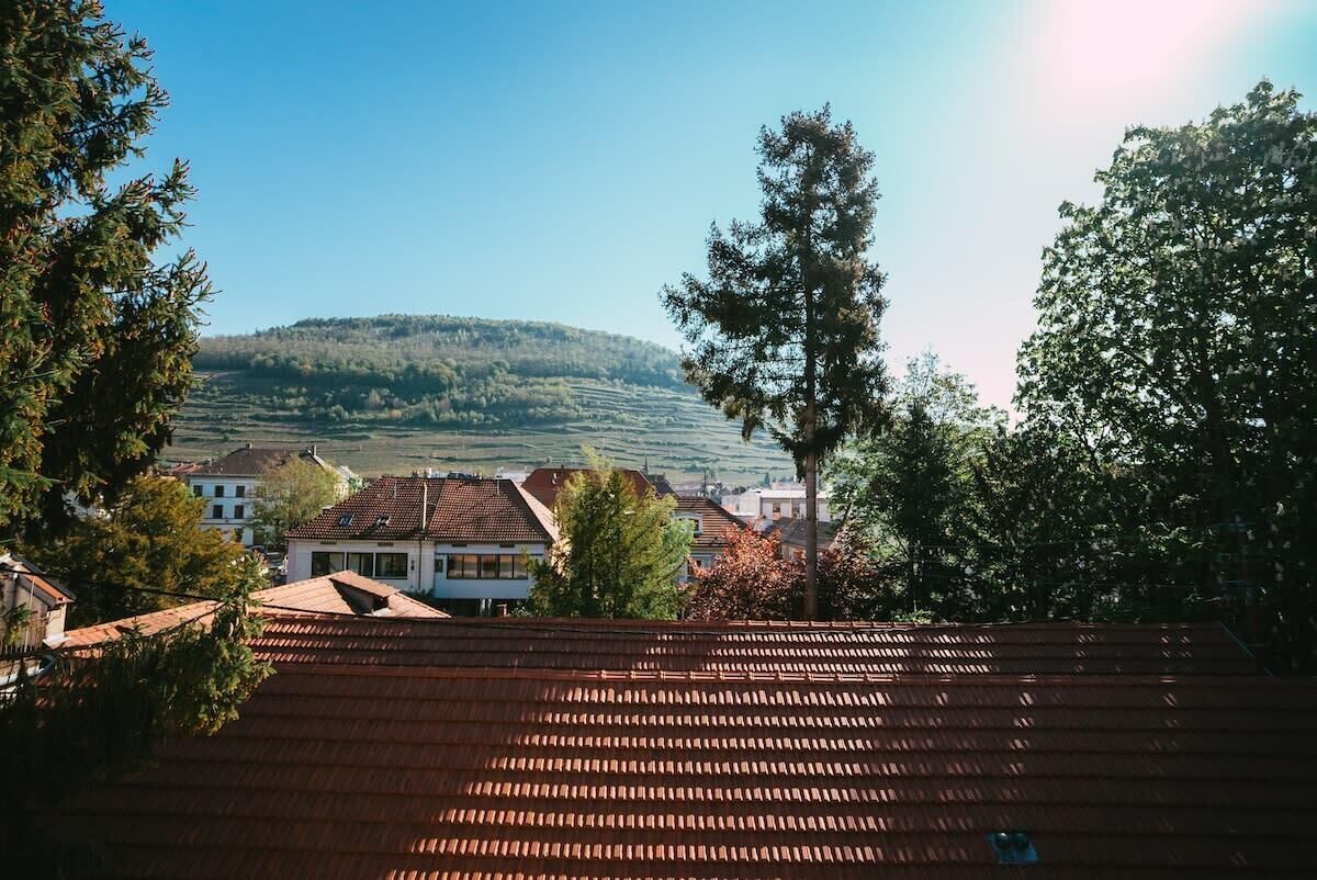 Splendide vue sur le vignoble et les toits d'Alsace ... 