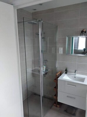 Shower, towels, toilet paper