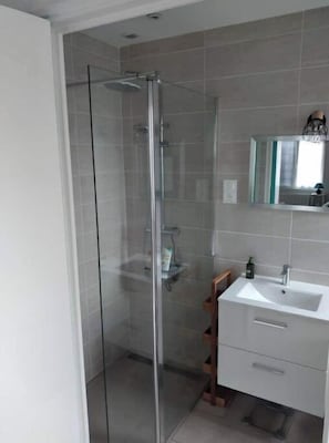 Shower, towels, toilet paper