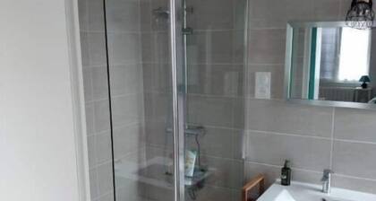 Newly renovated detached house