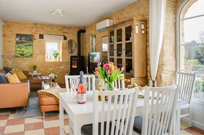 TV connectée, cheminée, lecteur de DVD, livres