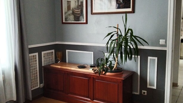 A living room with a wooden coffee table, a grey sofa, a wooden cabinet with a plant, and two framed pictures on the wall. - Andrea apartment (Fontenay-sous-Bois)