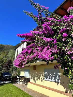 Property grounds - ROMANTIC VILLA ⭐ POOL ⭐ SEA VIEW, WALL BOX (Forte dei Marmi)